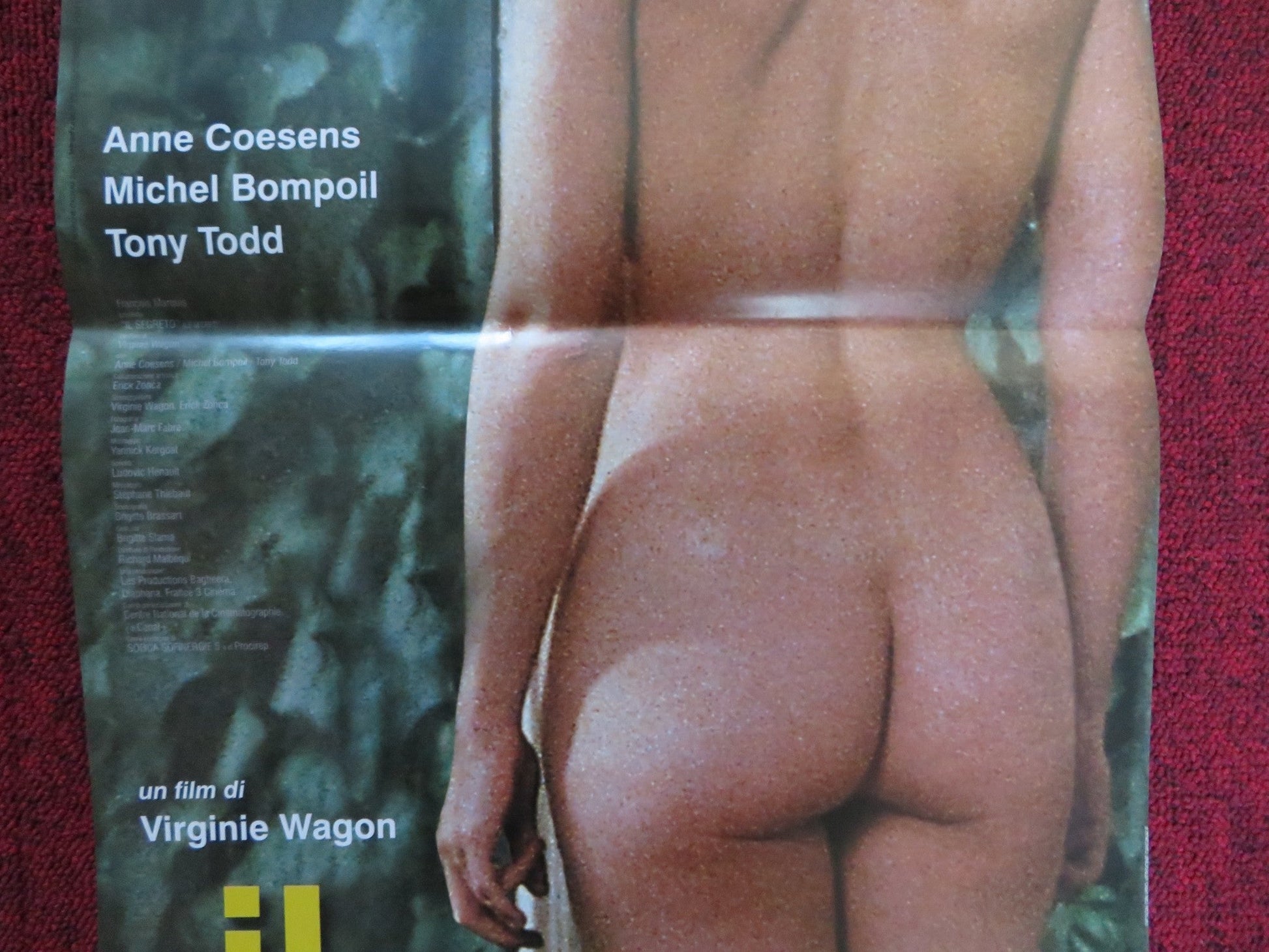 IL SEGRETO ITALIAN LOCANDINA POSTER ANNE COESENS TONY TODD 2000 Rendezvous Cinema Movie posters