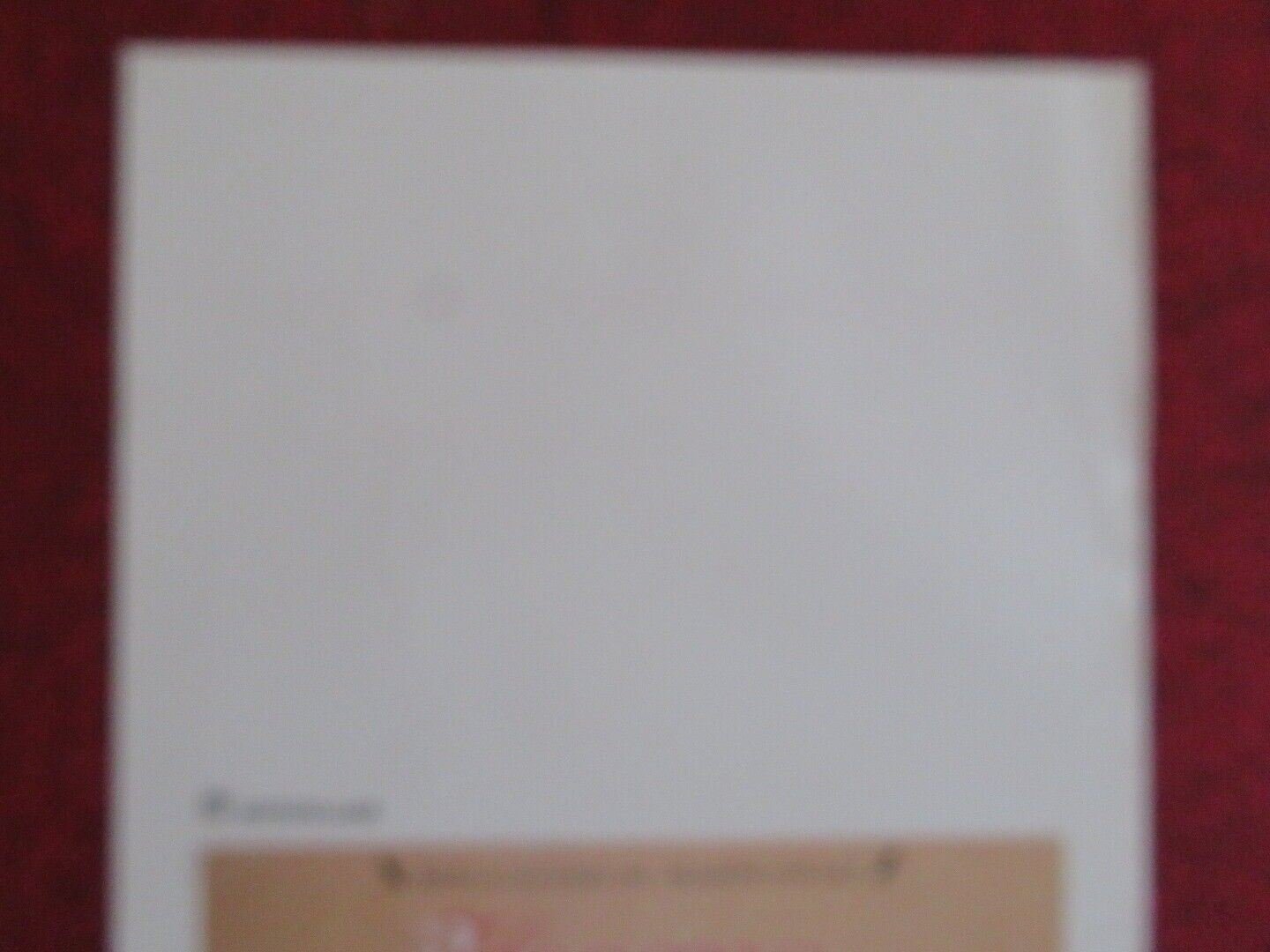 IL SOGNO DELLA FARFALL ITALIAN LOCANDINA (27.5"x13") POSTER THIERRY BLANC 1994 Movie posters