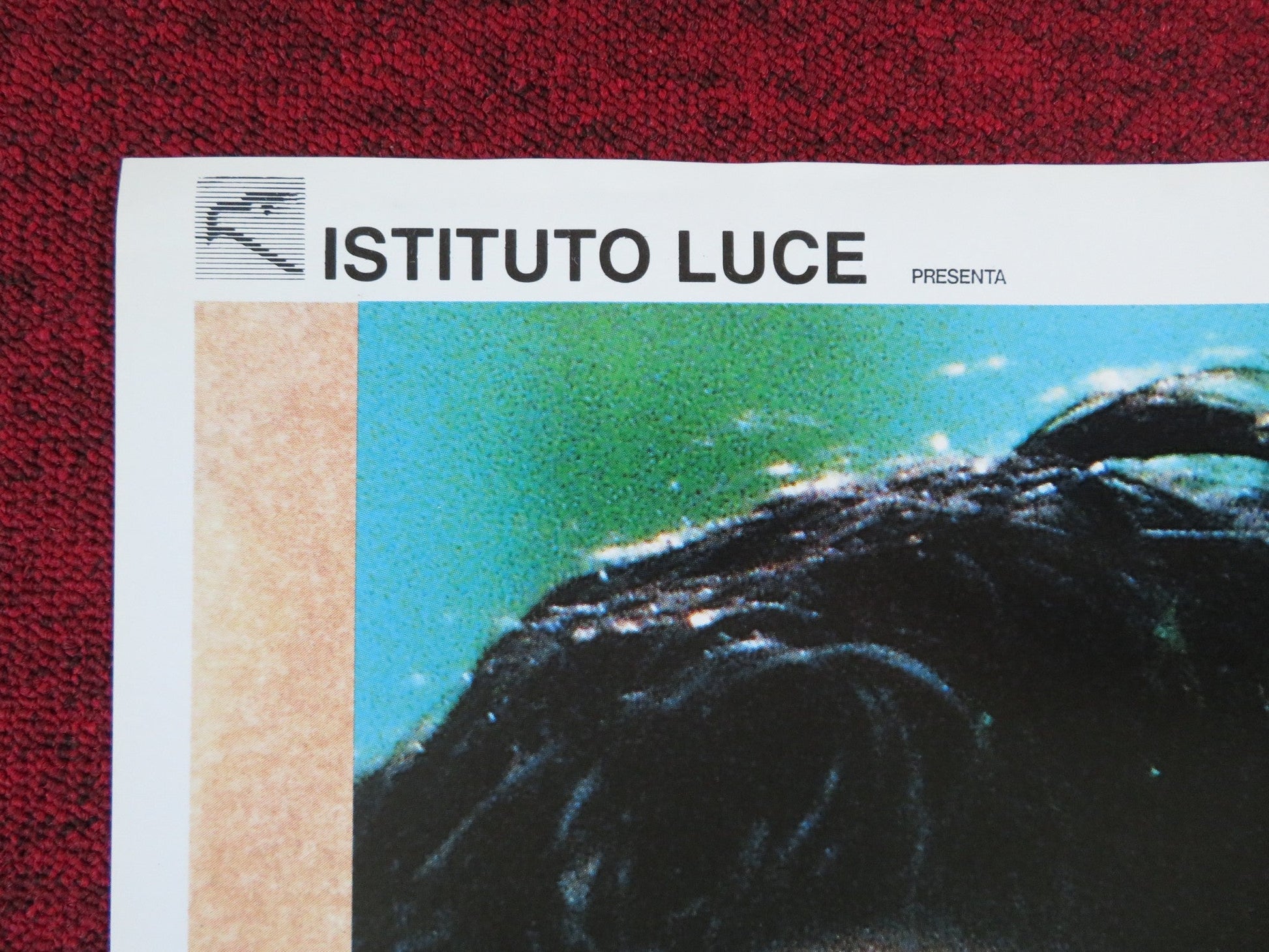 IL TUFFO ITALIAN FOGLIO POSTER VINCENZO SALEMME CARLOTTA NATOLI 1994 Rendezvous Cinema Movie posters