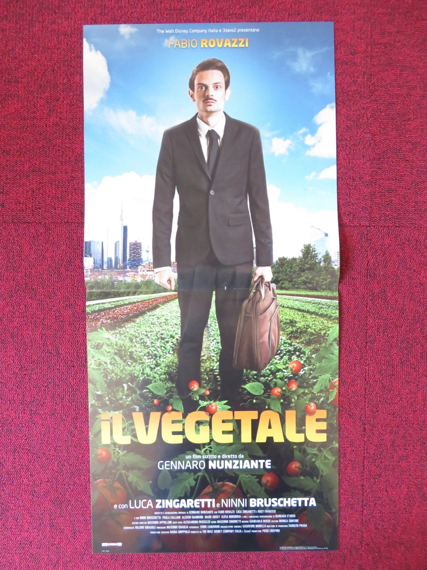 IL VEGETALE ITALIAN LOCANDINA POSTER LUCA ZINGARETTI 2018 Rendezvous Cinema Movie posters