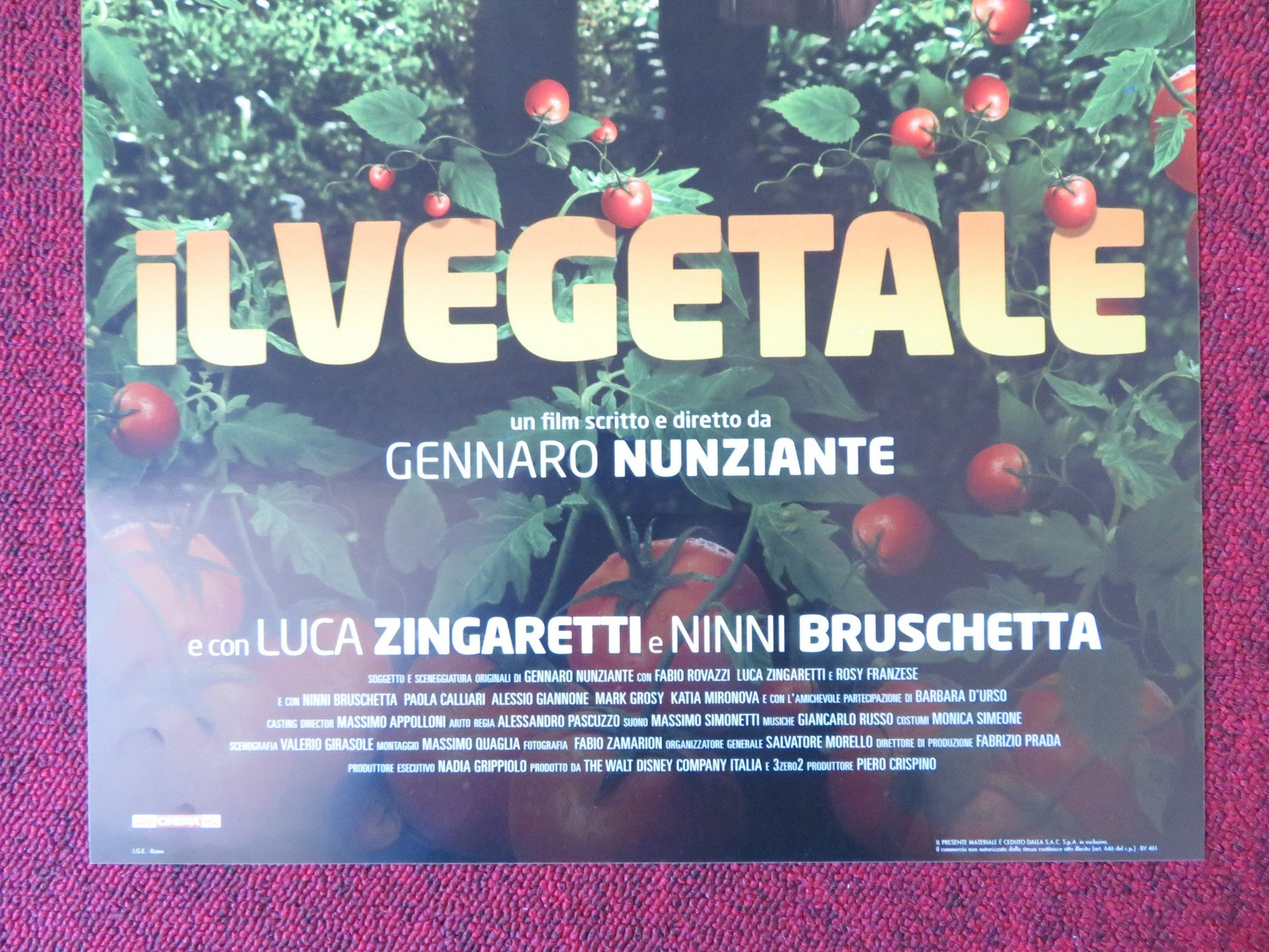 IL VEGETALE ITALIAN LOCANDINA POSTER LUCA ZINGARETTI 2018 Rendezvous Cinema Movie posters