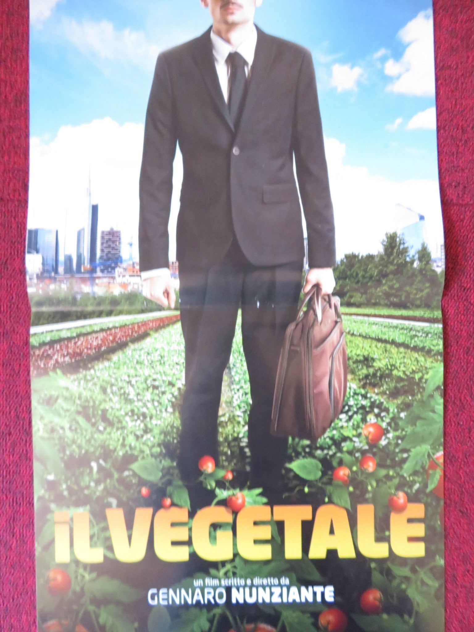 IL VEGETALE ITALIAN LOCANDINA POSTER LUCA ZINGARETTI 2018 Rendezvous Cinema Movie posters