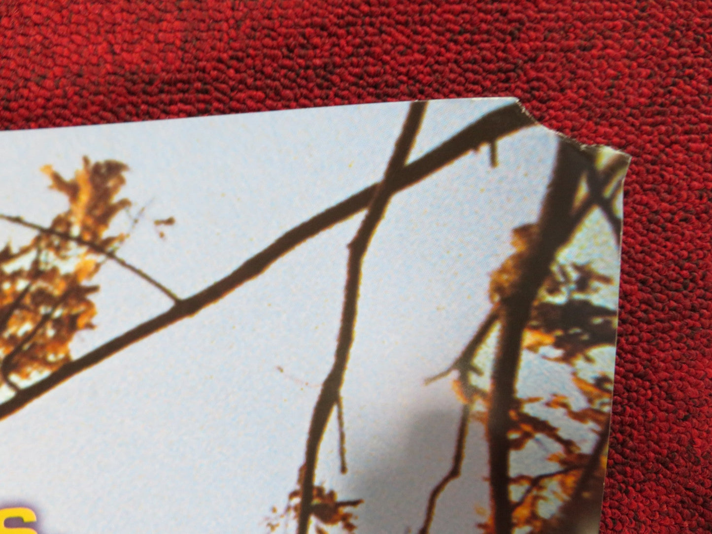 I'M NOT SCARED UK QUAD (30"x 40") ROLLED POSTER AITANA SANCHEZ GI - JON DINO 2003 Rendezvous Cinema Movie posters