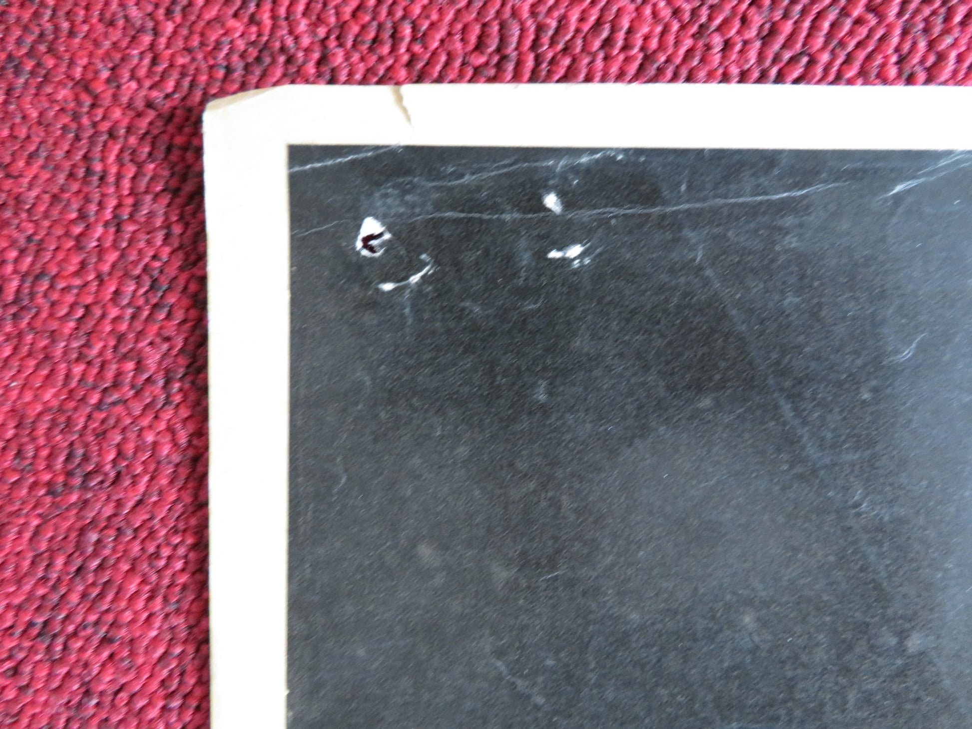 MEIN KAMPF ITALIAN FOTOBUSTA POSTER ERWIN LEISER TORE SJOBERG 1960 - Rendezvous Cinema