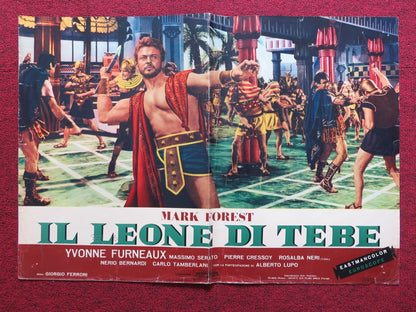 IL LEONE DI TEBE - B ITALIAN FOTOBUSTA POSTER MARK FOREST YVONNE FURNEAUX 1964 - Rendezvous Cinema
