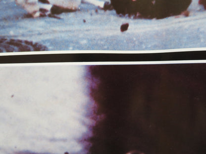 STAR'S LOVERS - A ITALIAN FOTOBUSTA POSTER NASTASSIA KINSKI HARVEY KEITEL 1983 - Rendezvous Cinema