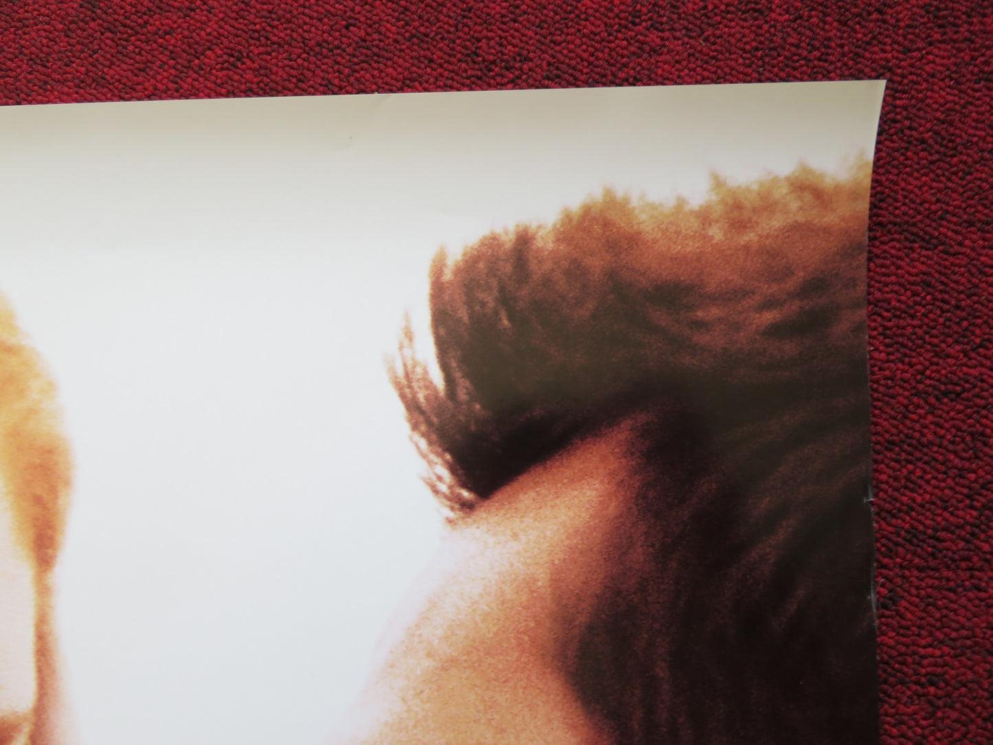 SIMPLY IRRESISTIBLE - V.A US ONE SHEET ROLLED POSTER SARAH MICHELLE GELLAR 1999 - Rendezvous Cinema