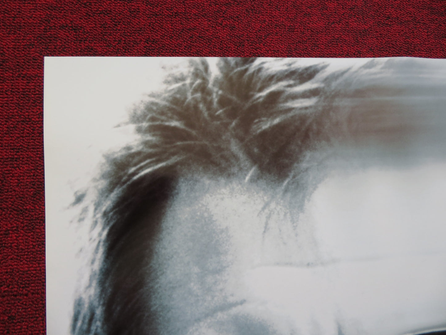 RANDOM HEARTS US ONE SHEET ROLLED POSTER HARRISON FORD KRISTEN SCOTT THOMAS 1999 - Rendezvous Cinema