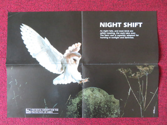 RSPB -NIGHT SHIFT POSTER OWL