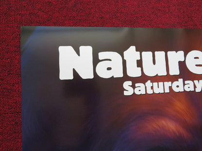 BROTHER BEAR - B US ONE SHEET ROLLED POSTER JOAQUIN PHOENIX JEREMY SUAREZ 2003 - Rendezvous Cinema