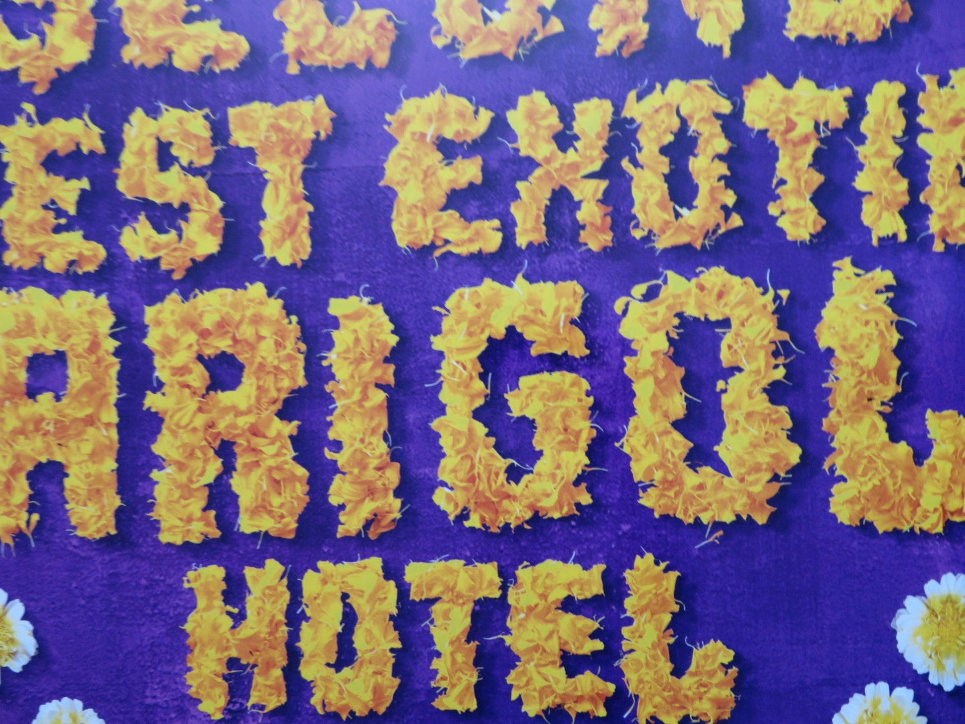 THE SECOND BEST EXOTIC MARIGOLD HOTEL US ONE SHEET ROLLED POSTER DEV PATEL 2015 - Rendezvous Cinema