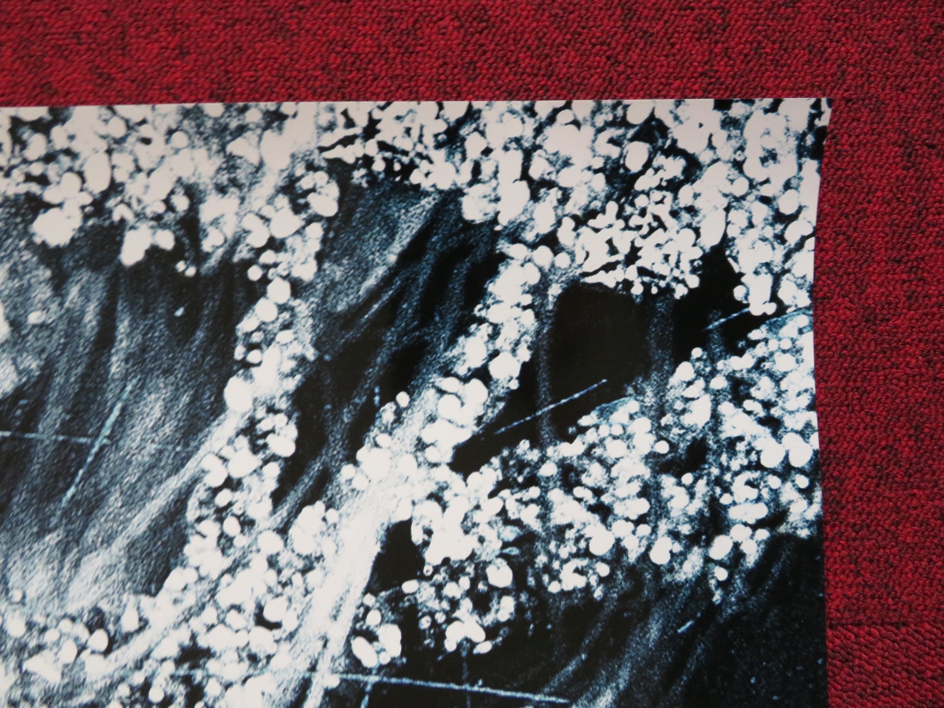 PROM NIGHT US ONE SHEET ROLLED POSTER BRITTANY SNOW SCOTT PORTER 2008 - Rendezvous Cinema