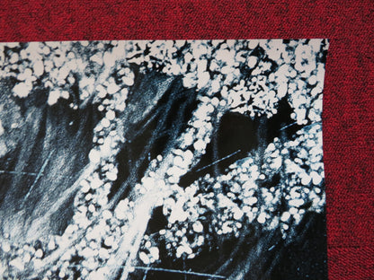 PROM NIGHT US ONE SHEET ROLLED POSTER BRITTANY SNOW SCOTT PORTER 2008 - Rendezvous Cinema