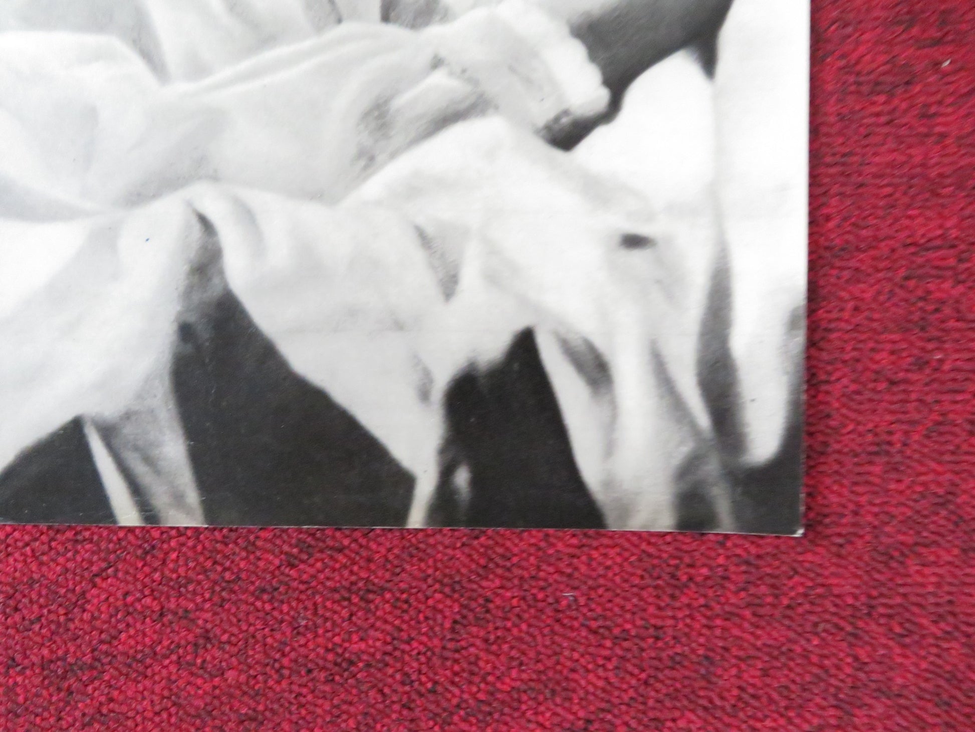 ALL THE WAY HOME - A ITALIAN FOTOBUSTA POSTER JEAN SIMMONS ROBERT PRESTON 1963 - Rendezvous Cinema