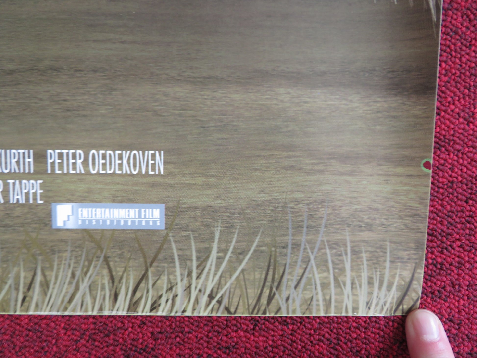 ANIMALS UNITED UK QUAD (30"x 40") ROLLED POSTER JAMES CORDEN STEPHEN FRY 2010 - Rendezvous Cinema