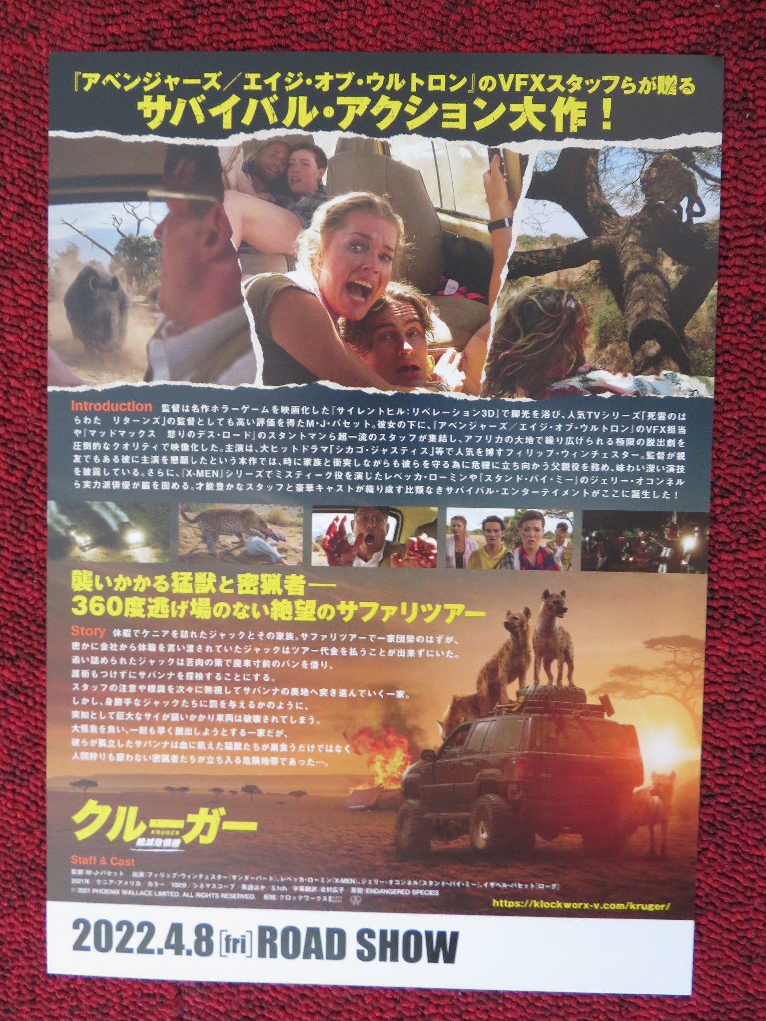 ENDANGERED SPECIES JAPANESE CHIRASHI (B5) POSTER REBECCA ROMIJN 2021 - Rendezvous Cinema