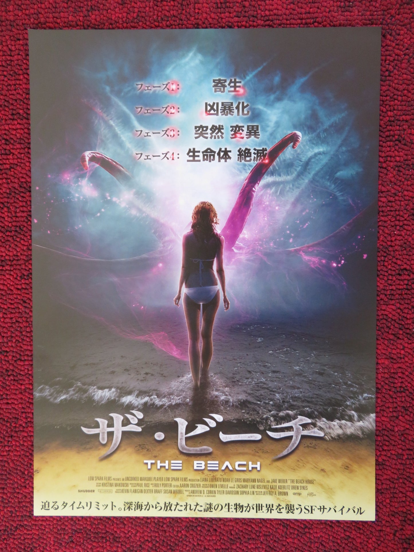 THE BEACH HOUSE JAPANESE CHIRASHI (B5) POSTER LIANA LIBERATO NOAH LE GROS 2019