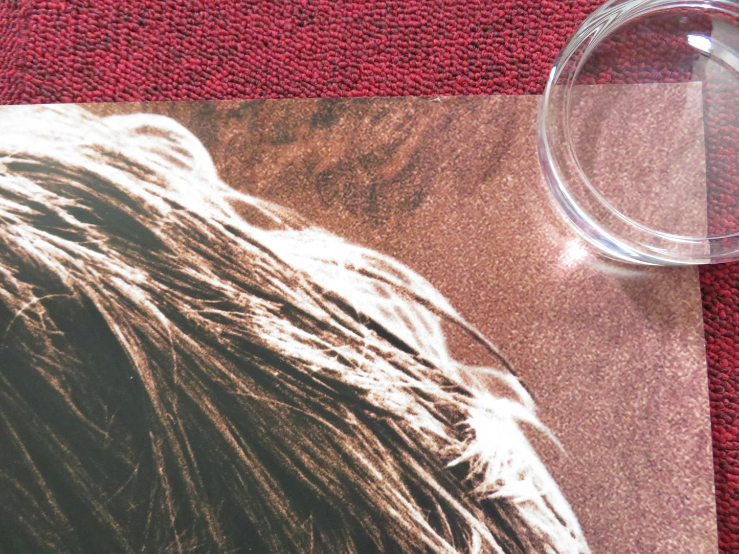 ANGELA'S ASHES UK QUAD (30"x 40") ROLLED POSTER EMILY WATSON ROBERT CARLYLE 1999 - Rendezvous Cinema