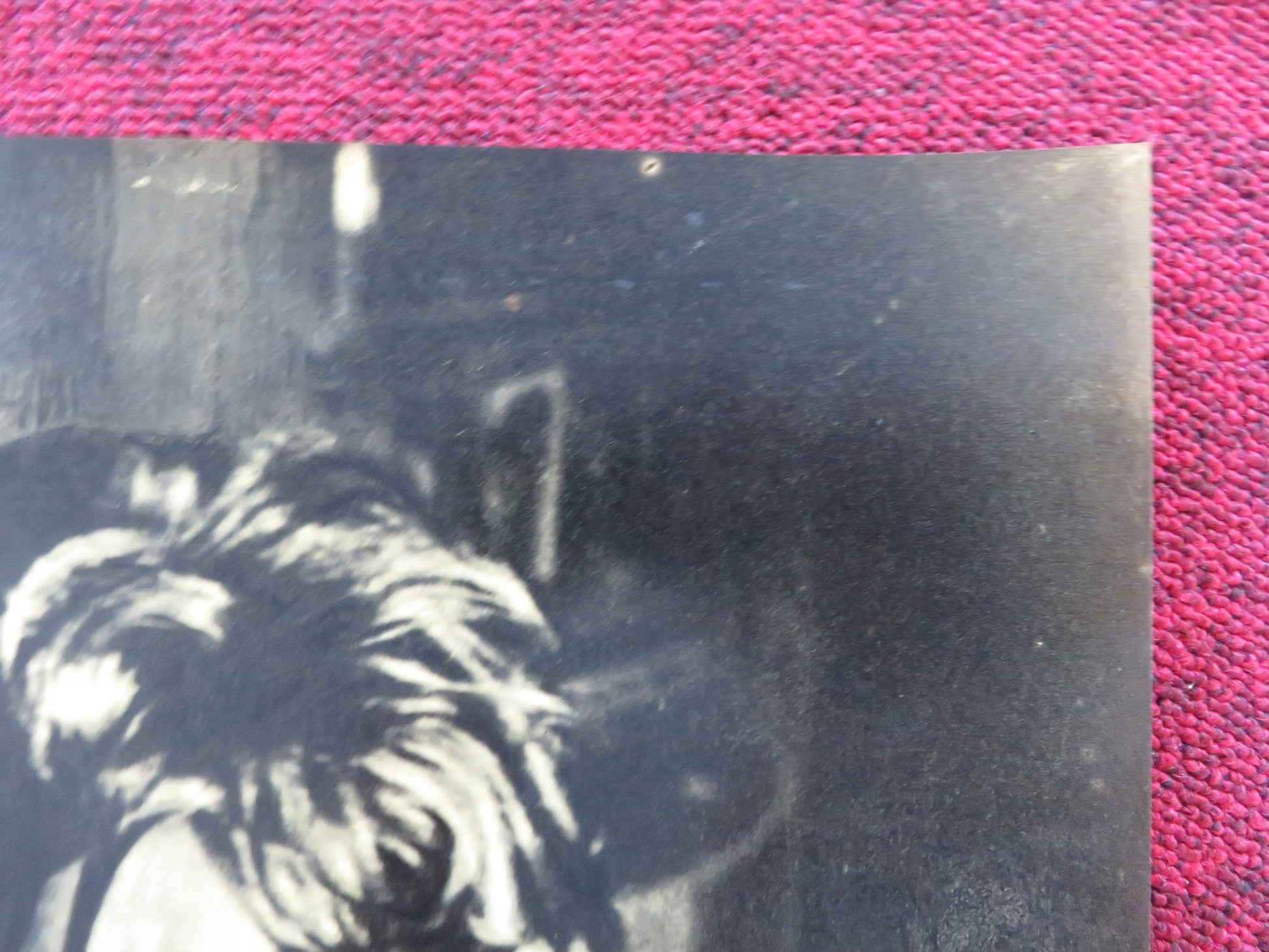 ANDY - E ITALIAN FOTOBUSTA POSTER NORMAN ALDEN TAMARA DAYKARHONOVA 1965 - Rendezvous Cinema