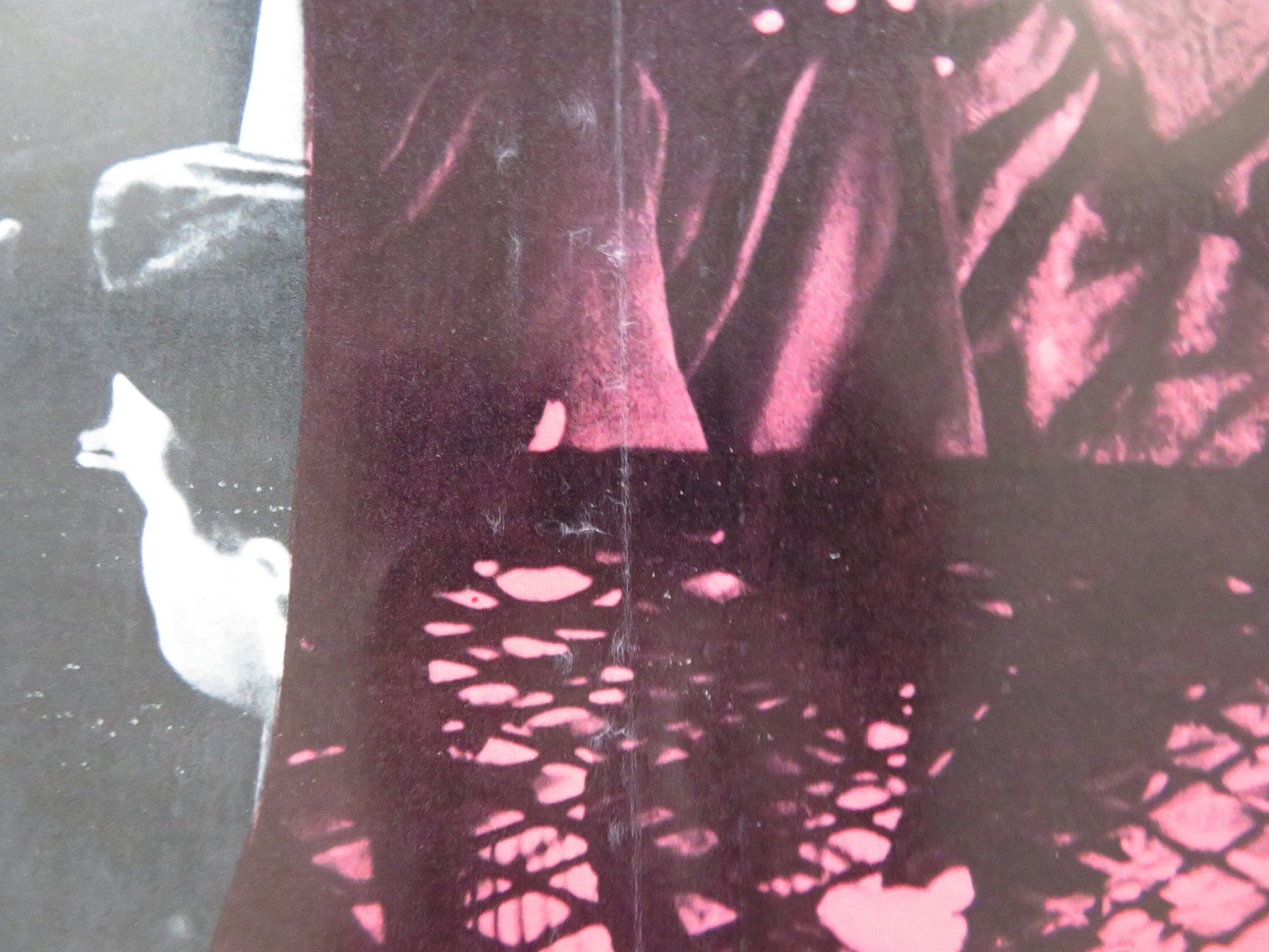 ANDY - F ITALIAN FOTOBUSTA POSTER NORMAN ALDEN TAMARA DAYKARHONOVA 1965 - Rendezvous Cinema