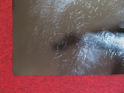 ARGO US ONE SHEET ROLLED POSTER BEN AFFLECK BRYAN CRANSTON 2012 - Rendezvous Cinema