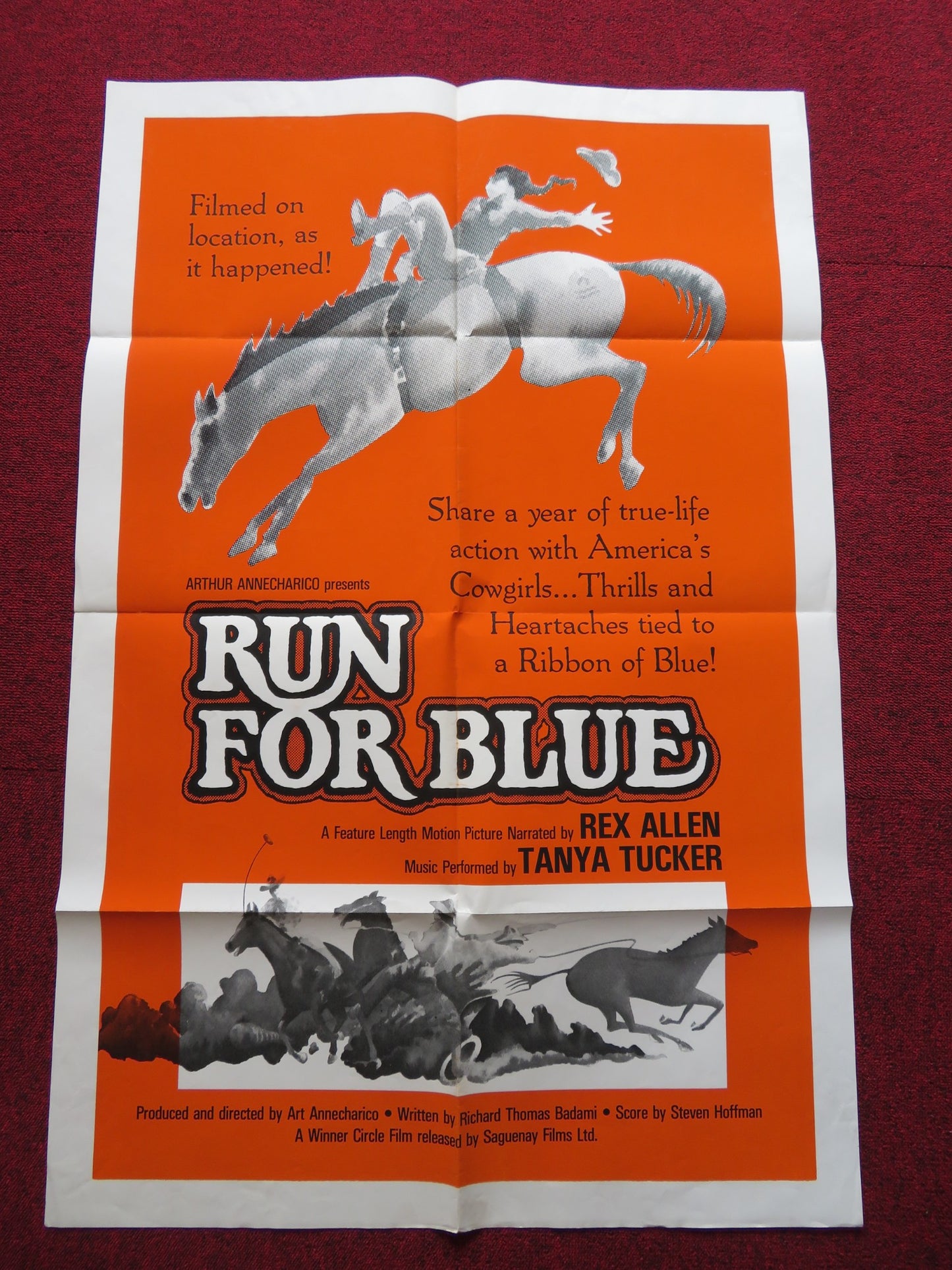 RUN FOR BLUE FOLDED US ONE SHEET POSTER REX ALLEN 1977 - Rendezvous Cinema