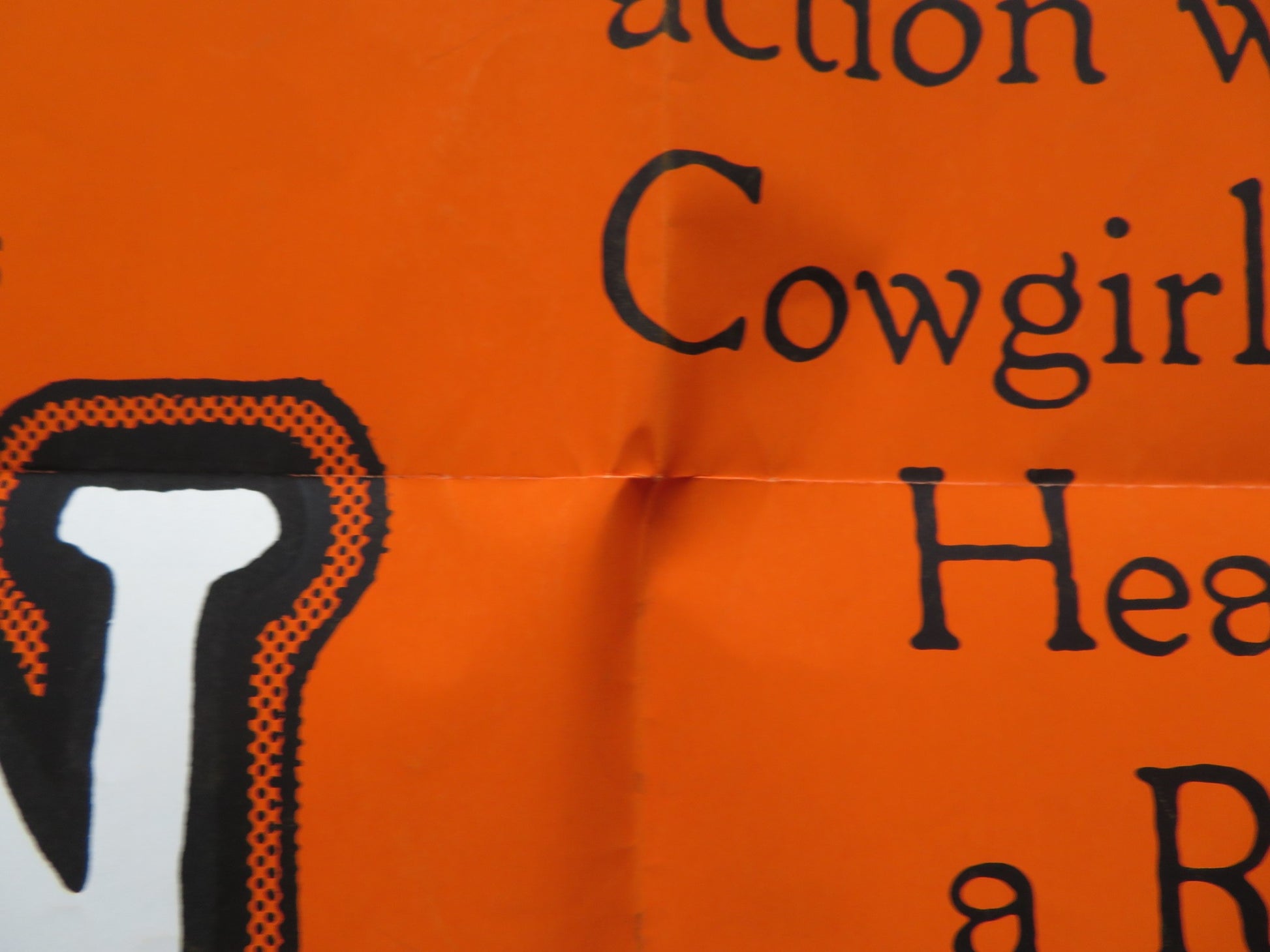 RUN FOR BLUE FOLDED US ONE SHEET POSTER REX ALLEN 1977 - Rendezvous Cinema