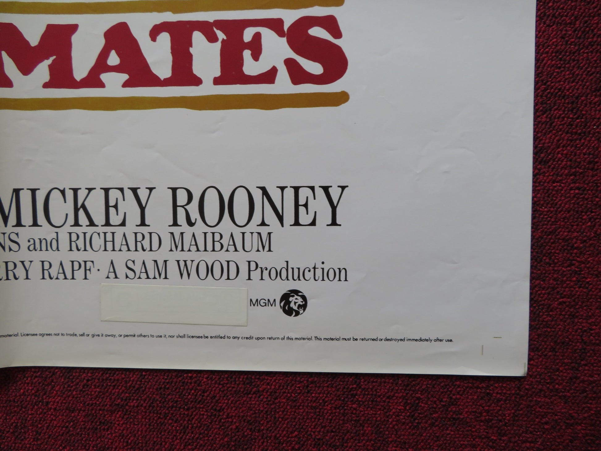 STABLEMATES FOLDED US ONE SHEET POSTER WALLACE BERRY MICKEY ROONEY 1973 - Rendezvous Cinema