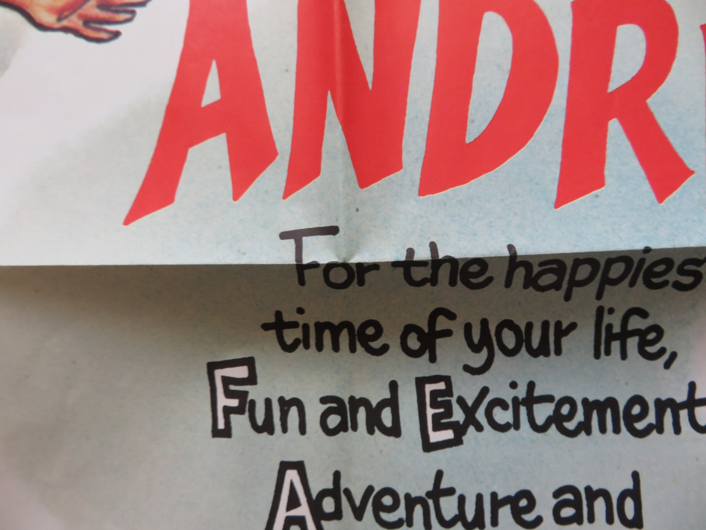 THE SINGING PRINCESS FOLDED US ONE SHEET POSTER JULIE ANDREWS S. SIBALDI 1967 - Rendezvous Cinema