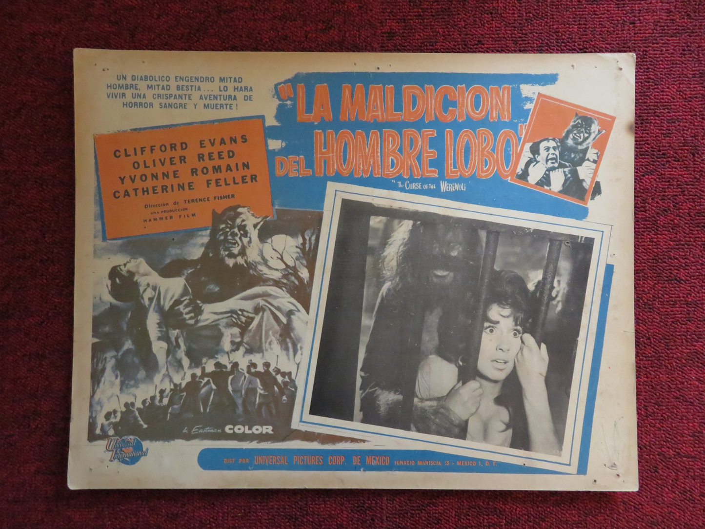 THE CURSE OF THE WEREWOLF MEXICAN LOBBY CARD CLIFFORD EVANS OLIVER REED 1961 - Rendezvous Cinema