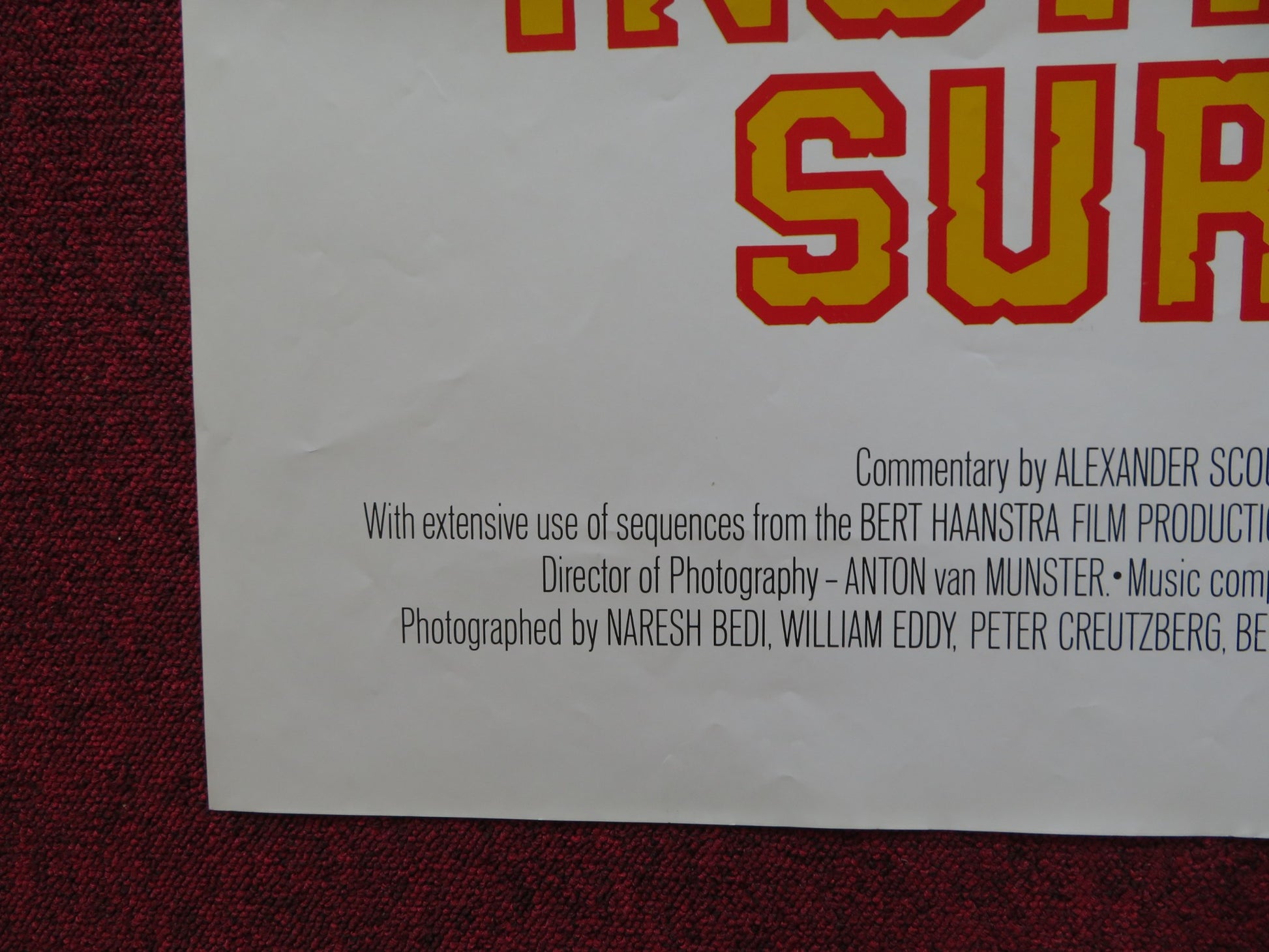 INSTINCT FOR SURVIVAL FOLDED US ONE SHEET POSTER BERT HAANSTRA A. SCOURBY 1974 - Rendezvous Cinema