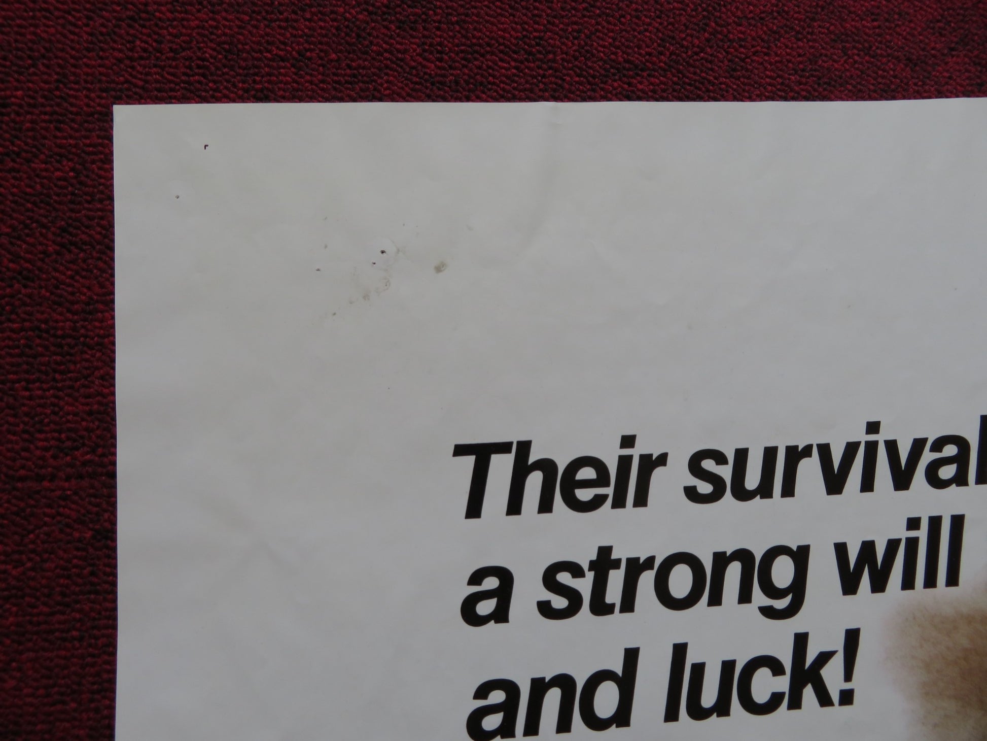 MOUNTAIN FAMILY ROBINSON FOLDED US ONE SHEET POSTER ROBERT F. LOGAN 1979 - Rendezvous Cinema