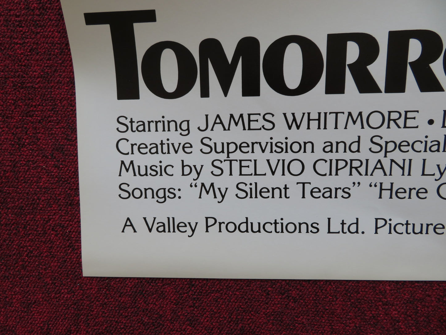 TOMORROW IS TOO LATE FOLDED US ONE SHEET POSTER JAMES WHITMORE LEE J.COBB 1978 - Rendezvous Cinema