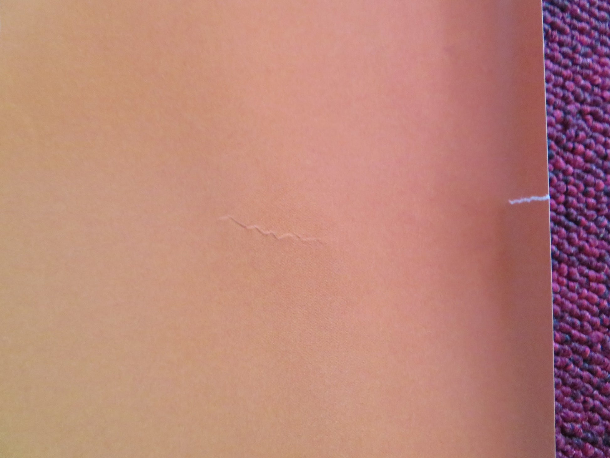 ANIMAL CRACKERS UK QUAD (30"x 40") ROLLED POSTER EMILY BLUNT DANNY DE VITO 2017 - Rendezvous Cinema