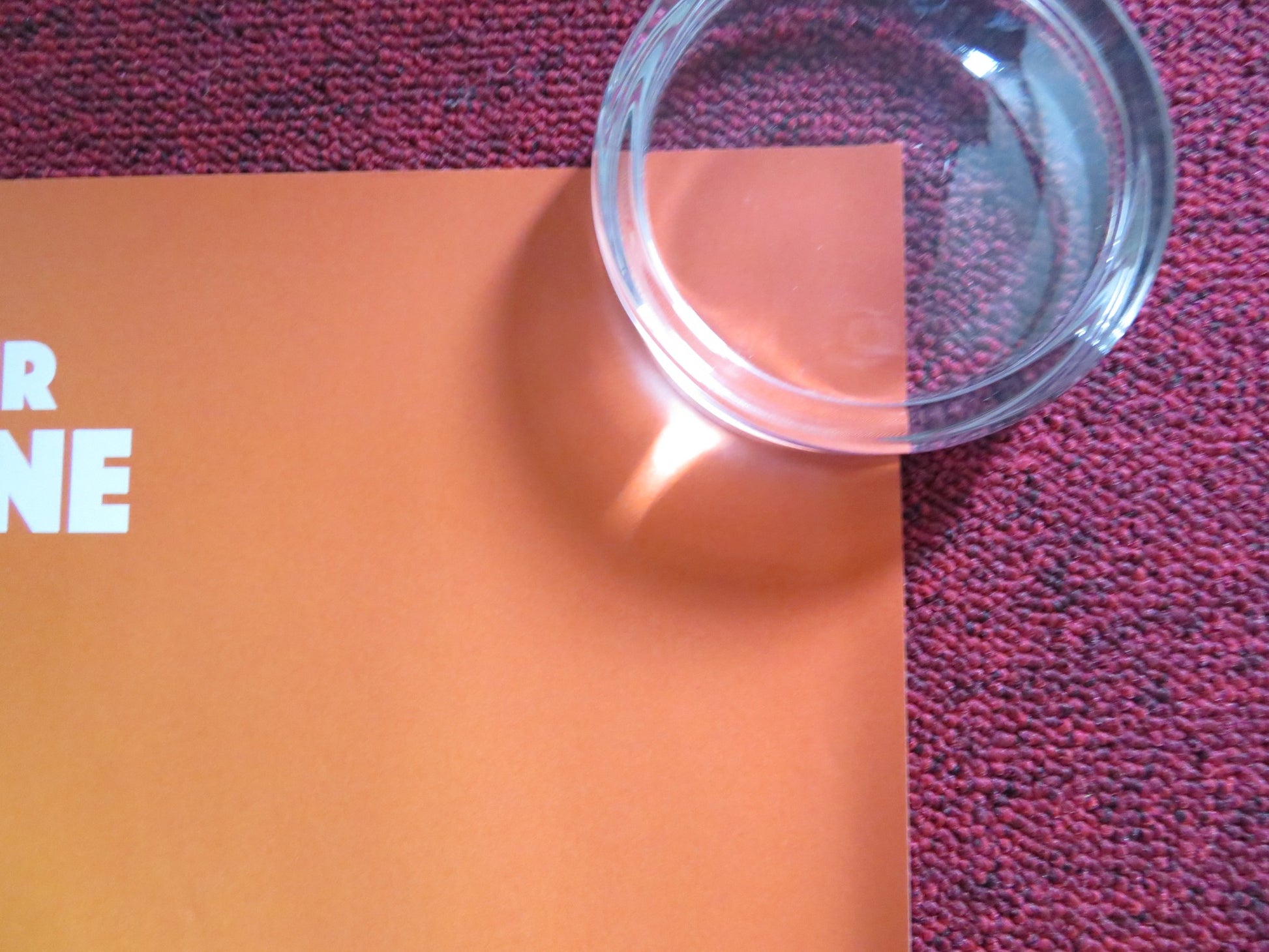 ANIMAL CRACKERS UK QUAD (30"x 40") ROLLED POSTER EMILY BLUNT DANNY DE VITO 2017 - Rendezvous Cinema