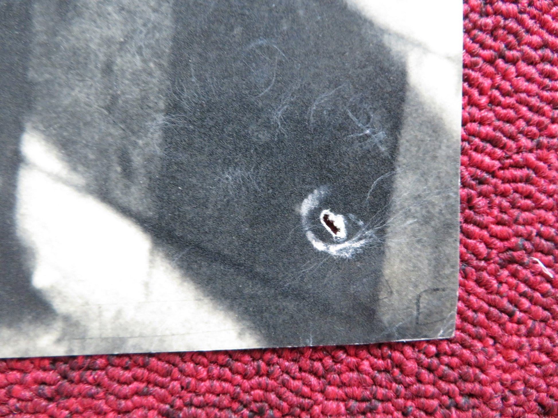 NUDA NELL'URAGANO - B ITALIAN FOTOBUSTA POSTER HOWARD KEEL CYRIL CUSACK 1958 - Rendezvous Cinema