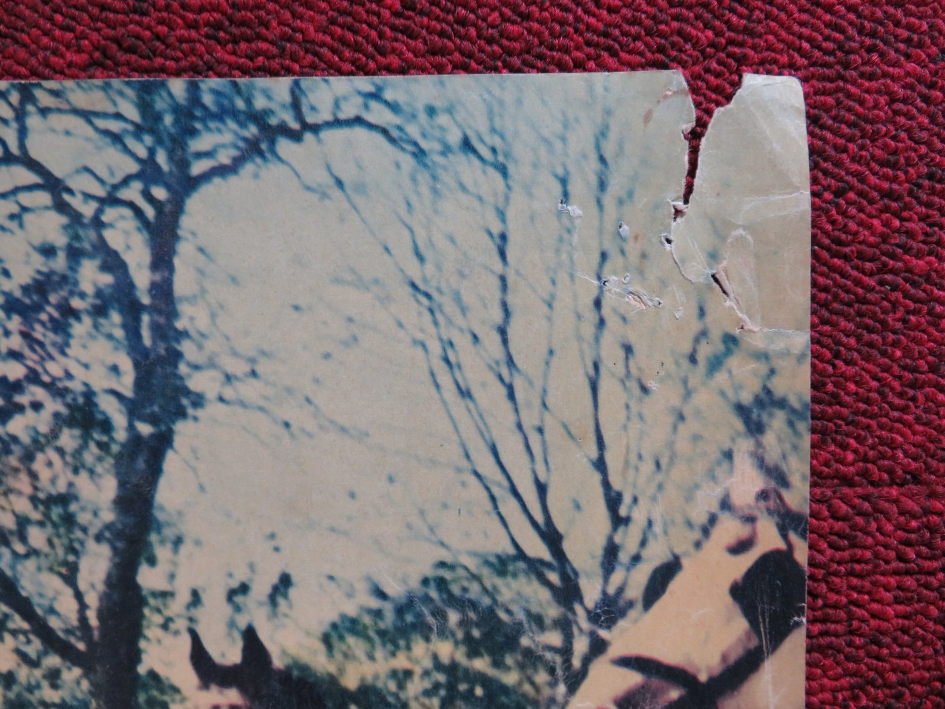 IL VENDICATORE / DUBROWSKY - B ITALIAN FOTOBUSTA POSTER JOHN FORSYTHE 1959 - Rendezvous Cinema