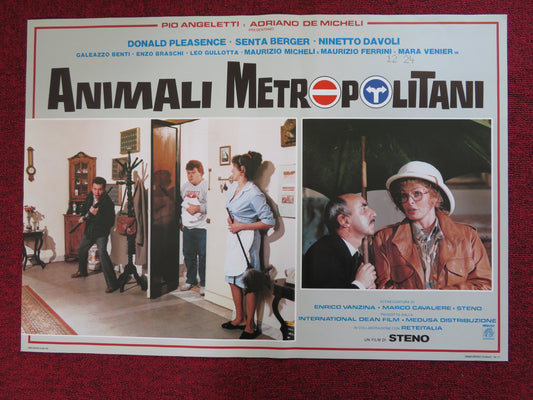 ANIMALI METROPOLITANI - A ITALIAN FOTOBUSTA POSTER DONALD PLEASENCE 1987 - Rendezvous Cinema