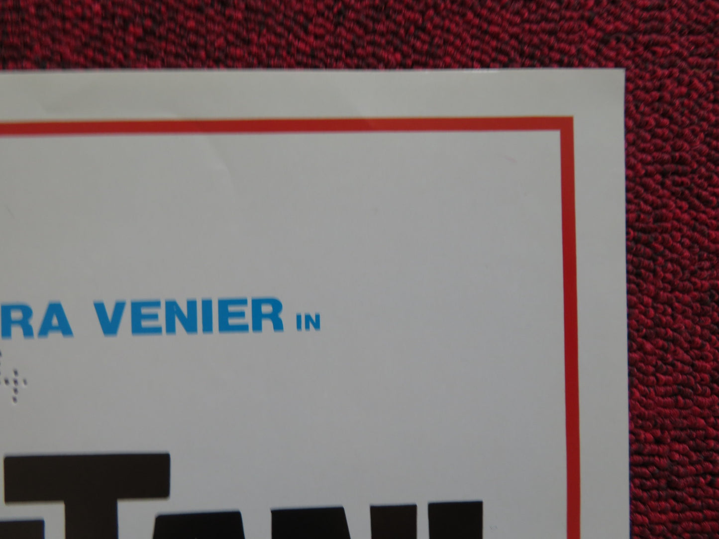 ANIMALI METROPOLITANI - A ITALIAN FOTOBUSTA POSTER DONALD PLEASENCE 1987 - Rendezvous Cinema