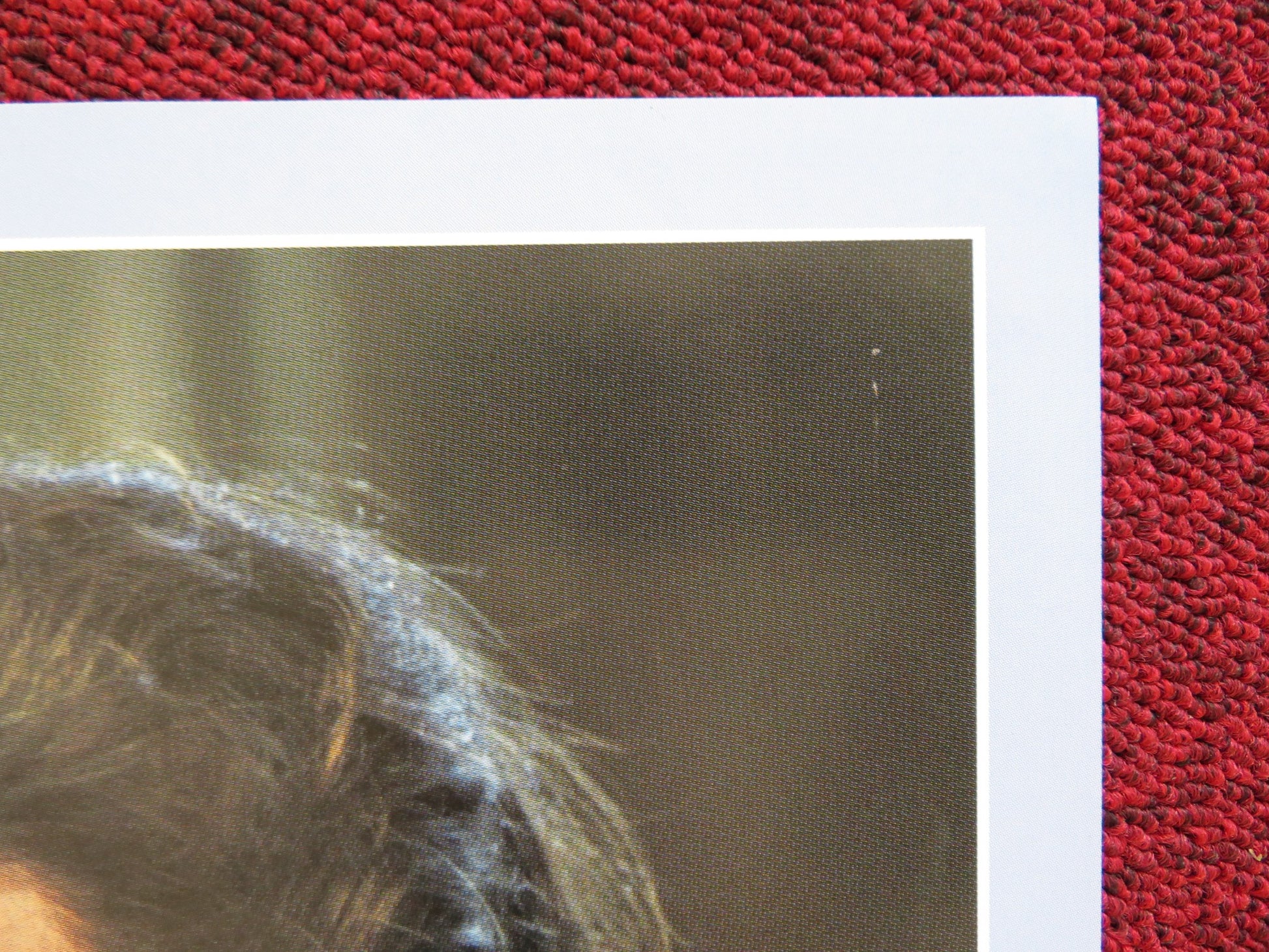 CALLAS FOREVER - D ITALIAN FOTOBUSTA POSTER FANNY ARDANT JEREMY IRONS 1990 - Rendezvous Cinema