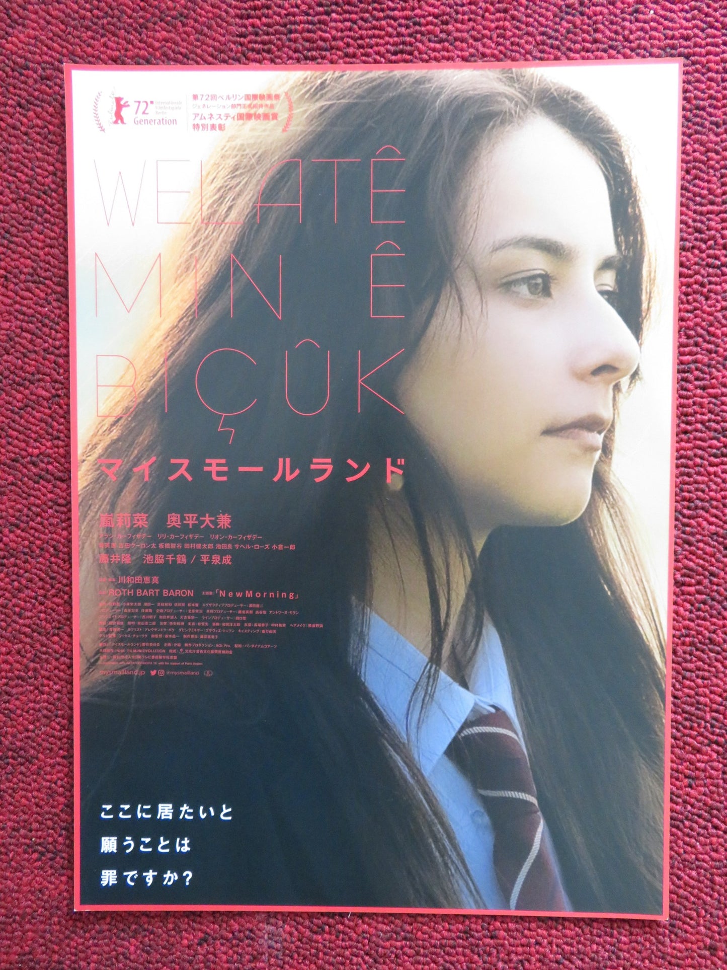 MY SMALL LAND JAPANESE CHIRASHI (B5) POSTER LINA ARASHI TAKASHI FUJII 2022 - Rendezvous Cinema