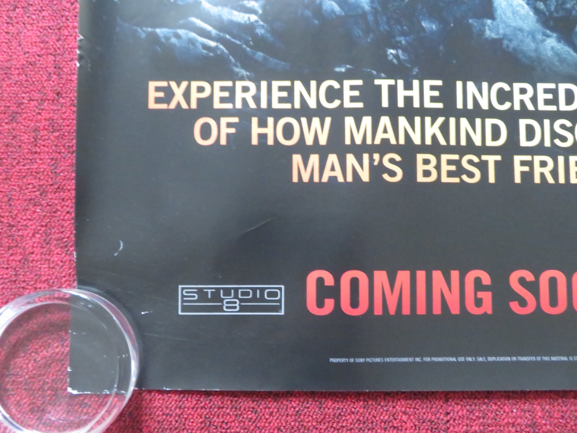 ALPHA UK QUAD (30"x 40") ROLLED POSTER KODI SMIT-MCPHEE J. H. JOHANNESSON 2018 - Rendezvous Cinema