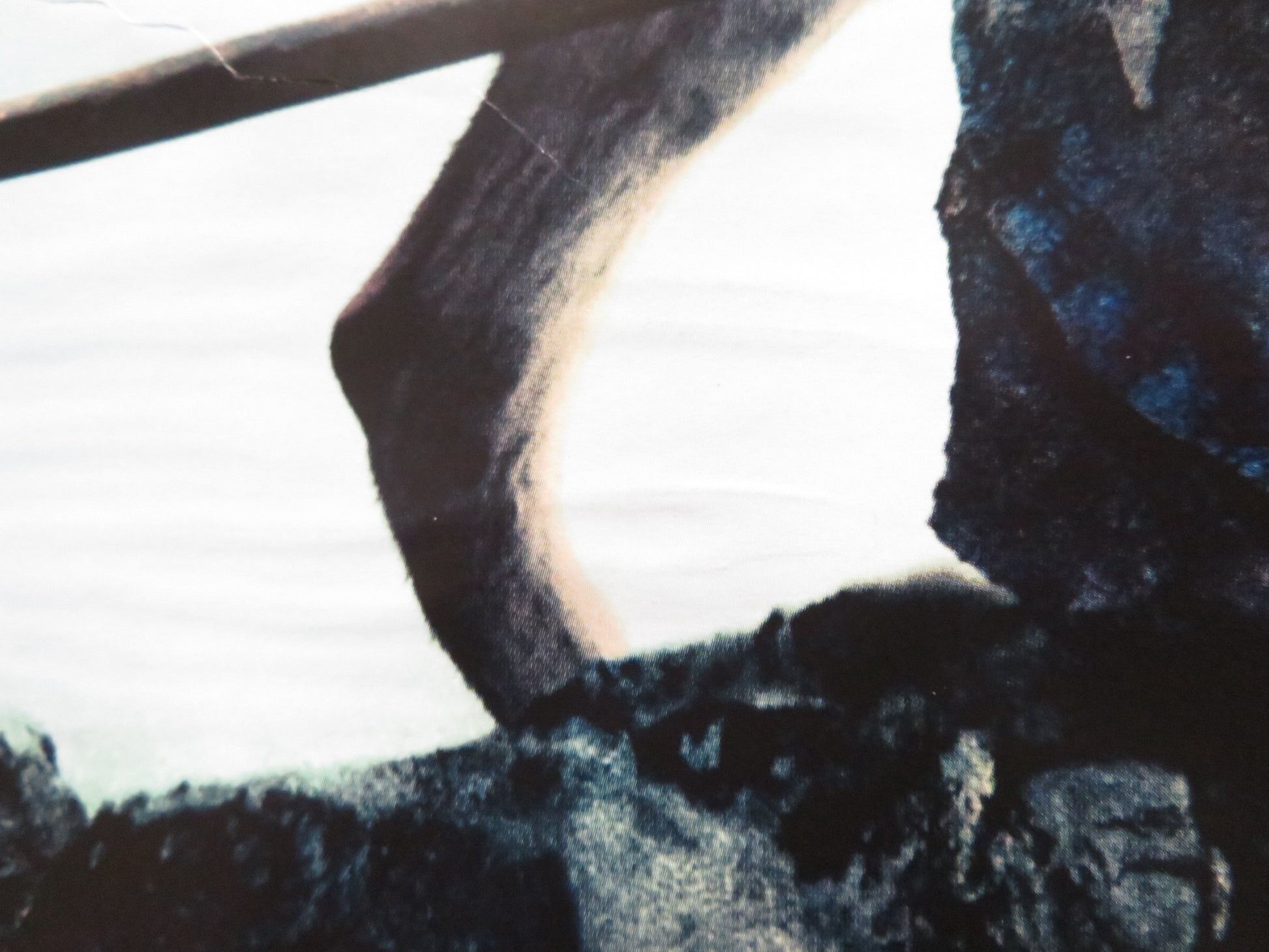 ALPHA UK QUAD (30"x 40") ROLLED POSTER KODI SMIT-MCPHEE J. H. JOHANNESSON 2018 - Rendezvous Cinema