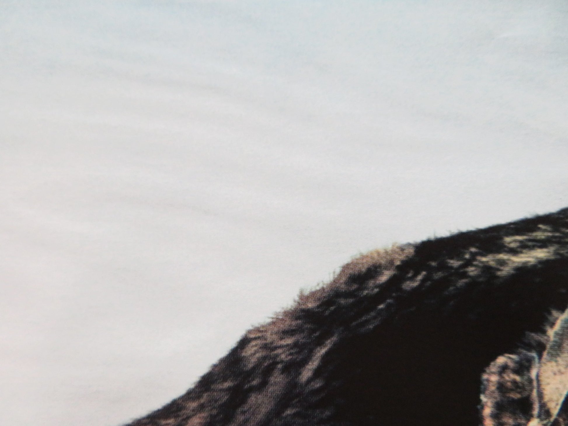 ALPHA UK QUAD (30"x 40") ROLLED POSTER KODI SMIT-MCPHEE J. H. JOHANNESSON 2018 - Rendezvous Cinema