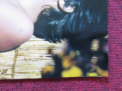 ASYLUM EROTICA- B ITALIAN FOTOBUSTA POSTER KLAUS KINSKY MARGARET LEE 1971 - Rendezvous Cinema