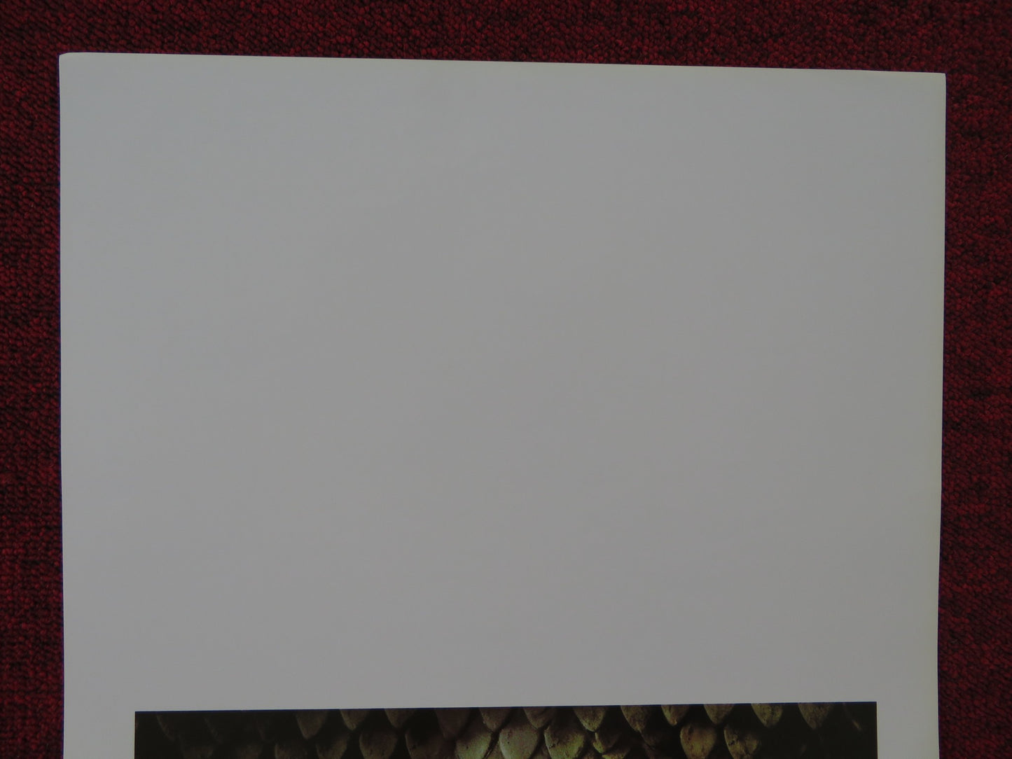 ANACONDAS: THE HUNT FOR THE BLOOD ORCHID ITALIAN LOCANDINA POSTER MESSNER 2004 - Rendezvous Cinema