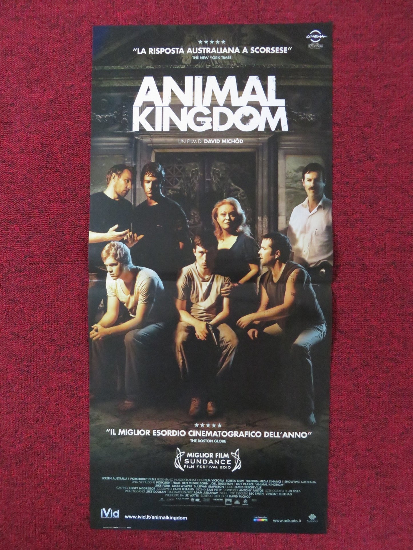 ANIMAL KINGDOM ITALIAN LOCANDINA POSTER JOEL EDGERTON GUY PEARCE 2010 - Rendezvous Cinema