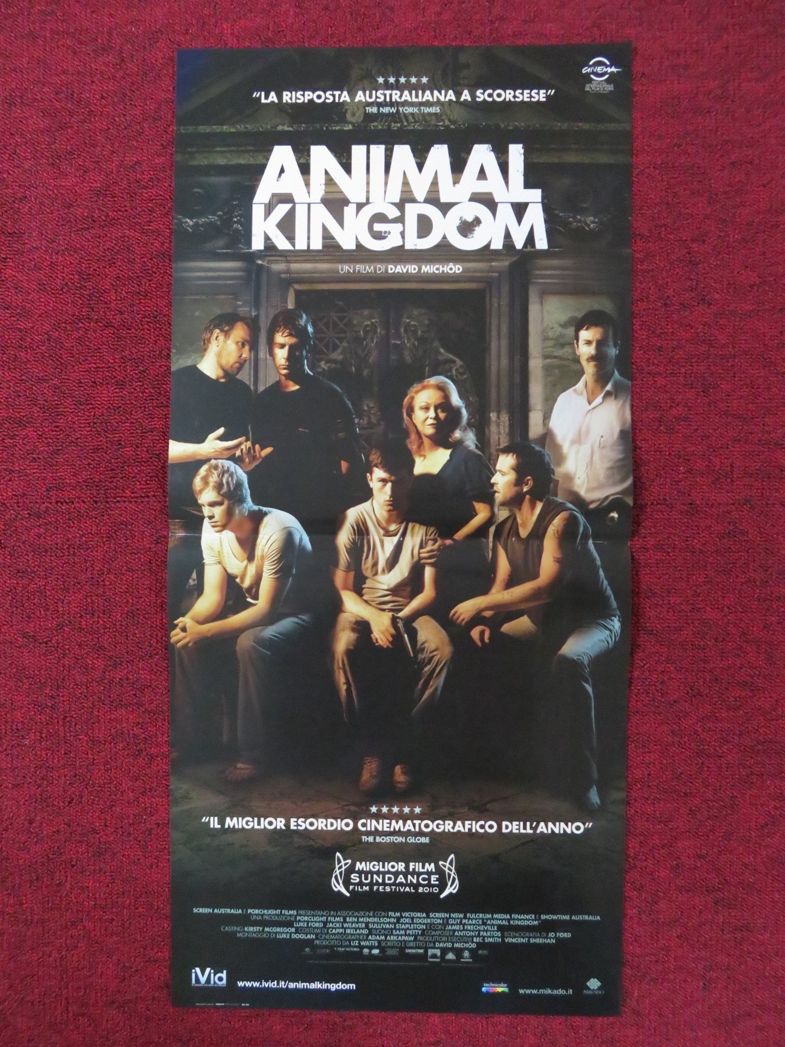 ANIMAL KINGDOM ITALIAN LOCANDINA POSTER JOEL EDGERTON GUY PEARCE 2010 - Rendezvous Cinema