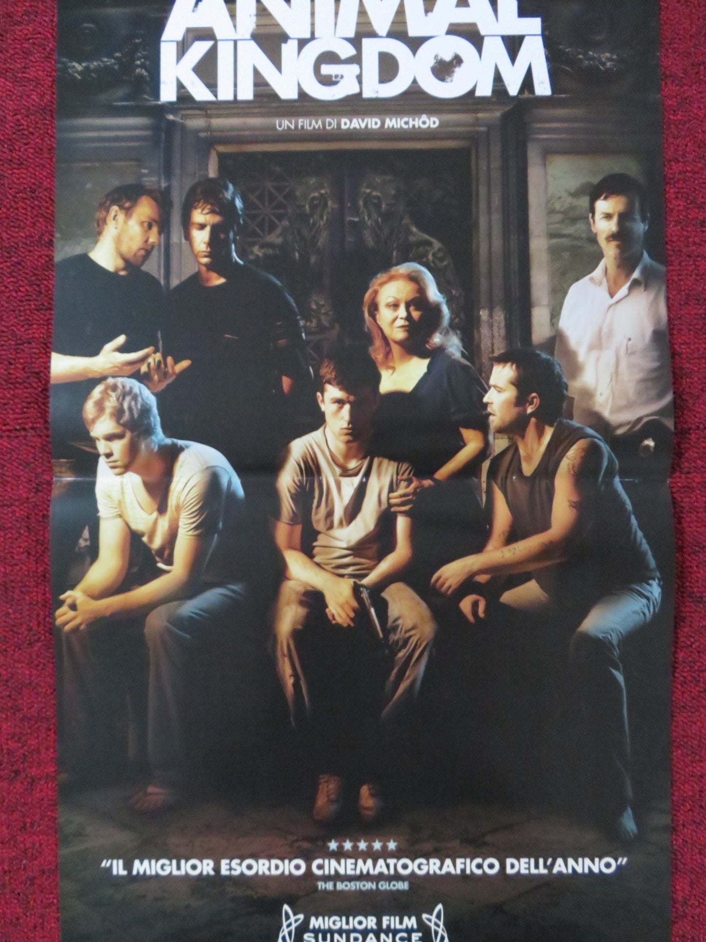 ANIMAL KINGDOM ITALIAN LOCANDINA POSTER JOEL EDGERTON GUY PEARCE 2010 - Rendezvous Cinema