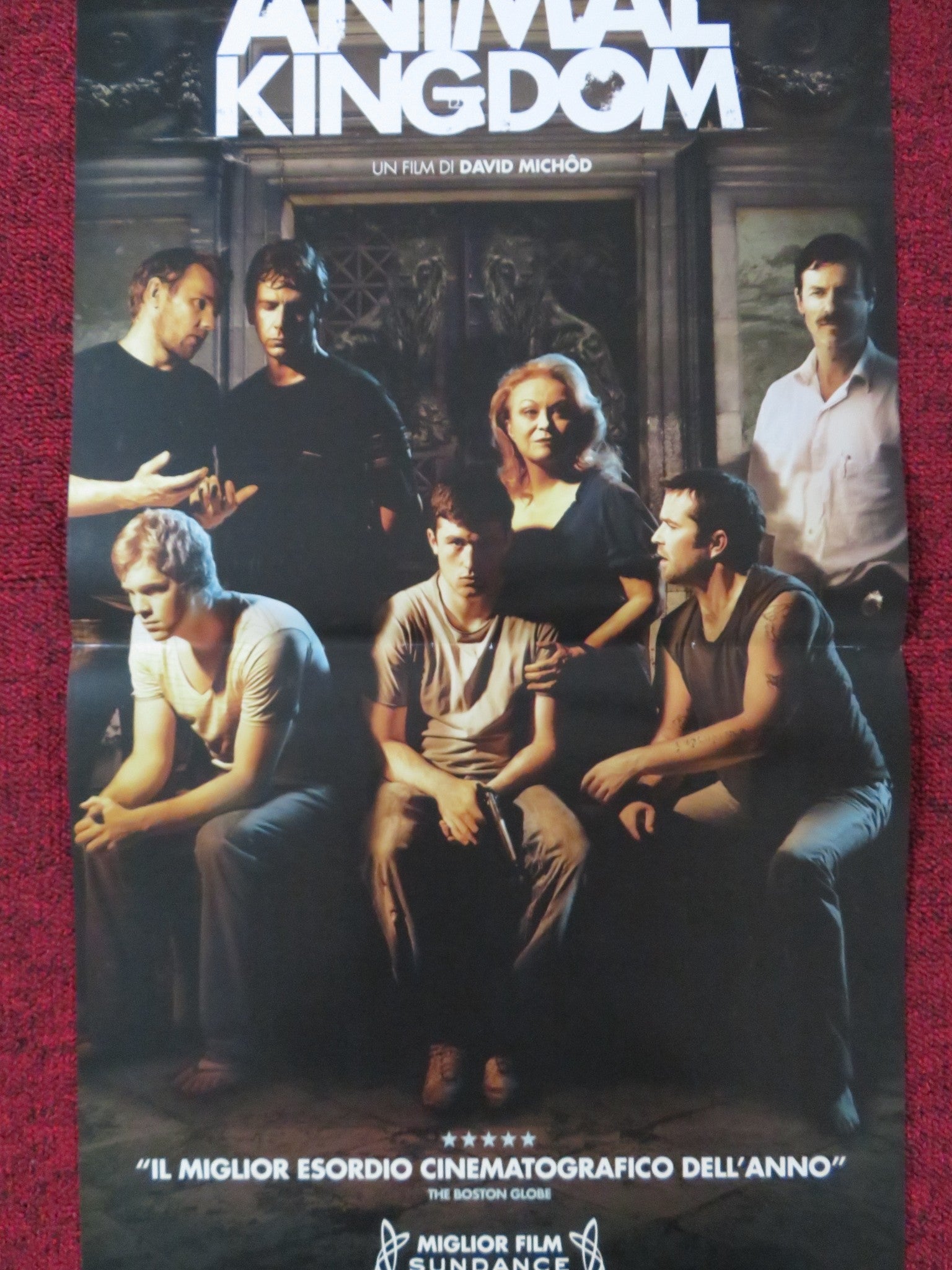 ANIMAL KINGDOM ITALIAN LOCANDINA POSTER JOEL EDGERTON GUY PEARCE 2010 - Rendezvous Cinema